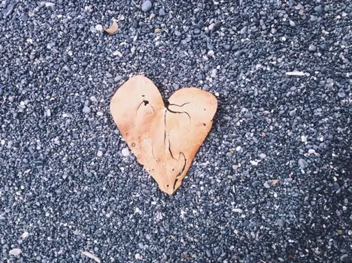 Una foglia a forma di cuore appoggiata sull'asfalto